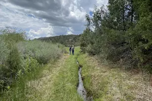 1460 E Coral Pink Cliffs Rd, Glendale, UT 84729 - Photo 39