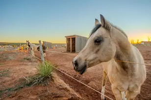 1120 S Bryce Canyon Way, Kanab, UT 84741 - Photo 59