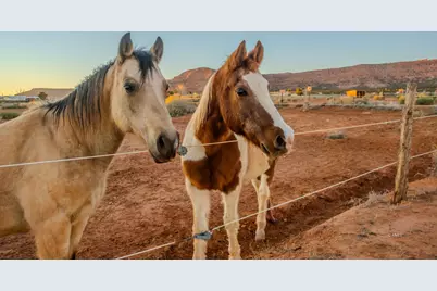 1120 S Bryce Canyon Way, Kanab, UT 84741 - Photo 59