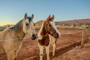 1120 S Bryce Canyon Way, Kanab, UT 84741 - Photo 59
