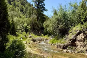 3000 Hwy 89, Glendale, UT 84729 - Photo 19