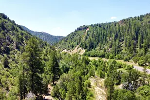 5000 Hwy 89, Glendale, UT 84729 - Photo 3