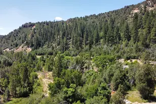 5000 Hwy 89, Glendale, UT 84729 - Photo 13