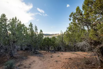 Pinion Pine Dr, Orderville, UT 84758 - Photo 15