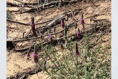 980 S Sitla Mineral Section B Rd, Mount Carmel, UT 84755 - Photo 29