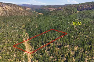 Cougar Canyon, Orderville, UT 84758 - Photo 1