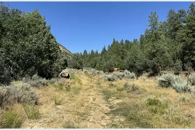 Cougar Canyon, Orderville, UT 84758 - Photo 5