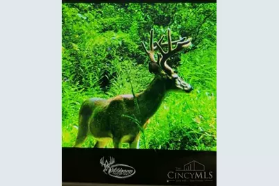 0 St Rt 221 & Footbridge, Pleasant Township, OH 45121 - Photo 3