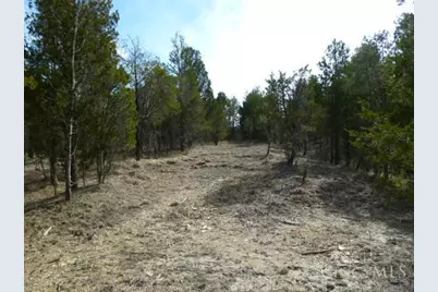 0 St Rt 41, West Union, OH 45693 - Photo 37