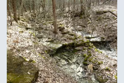 0 St Rt 41, West Union, OH 45693 - Photo 45