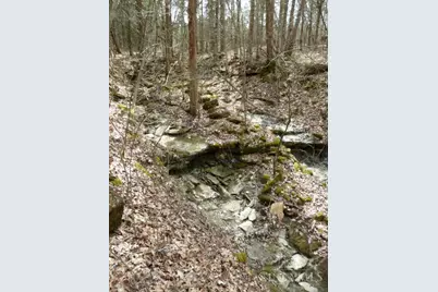 0 St Rt 41, West Union, OH 45693 - Photo 33