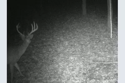 3526 Starling Road, Tate Township, OH 45106 - Photo 19