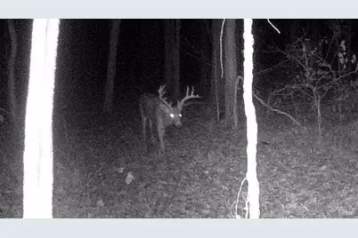 3526 Starling Road, Tate Township, OH 45106 - Photo 21