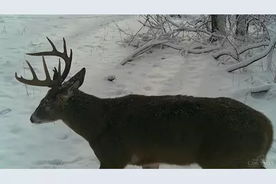 3526 Starling Road, Tate Township, OH 45106 - Photo 9