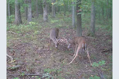 3526 Starling Road, Tate Township, OH 45106 - Photo 15