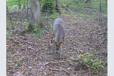 3526 Starling Road, Tate Township, OH 45106 - Photo 17