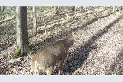 3526 Starling Road, Tate Township, OH 45106 - Photo 13