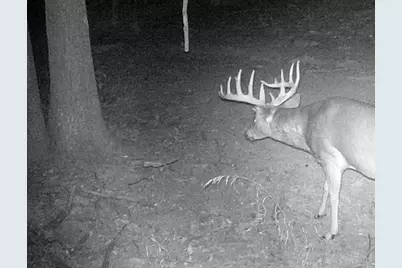 3526 Starling Road, Tate Township, OH 45106 - Photo 11