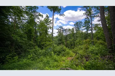 858 Randalls Run Road, Blue Creek, OH 45616 - Photo 27