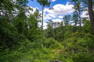 858 Randalls Run Rd, Blue Creek, OH 45616 - Photo 27