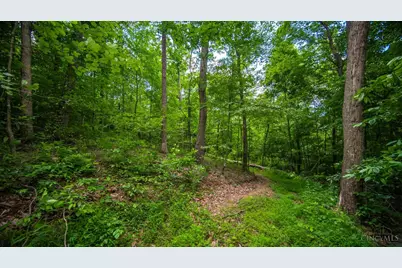 858 Randalls Run Road, Blue Creek, OH 45616 - Photo 23