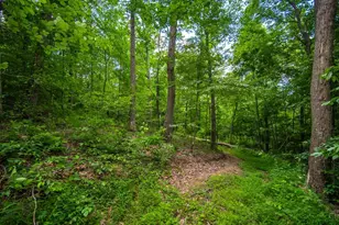 858 Randalls Run Rd, Blue Creek, OH 45616 - Photo 23