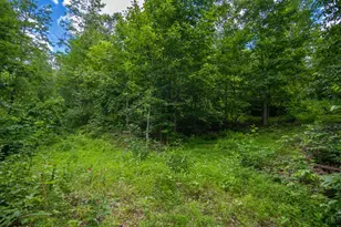 858 Randalls Run Rd, Blue Creek, OH 45616 - Photo 25