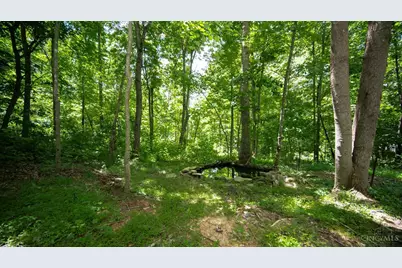 858 Randalls Run Road, Blue Creek, OH 45616 - Photo 21