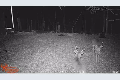 858 Randalls Run Road, Blue Creek, OH 45616 - Photo 31