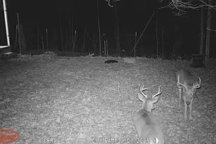 858 Randalls Run Rd, Blue Creek, OH 45616 - Photo 31