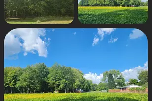 2089 St Rt 133, Tate Township, OH 45106 - Photo 3