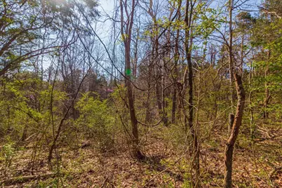 1286 Steam Furnace Road, Peebles, OH 45660 - Photo 13