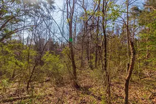 1286 Steam Furnace Rd, Peebles, OH 45660 - Photo 13