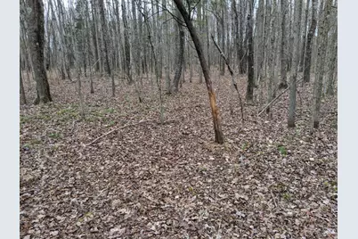 49 Yankeetown Road, Clark Township, OH 45130 - Photo 7