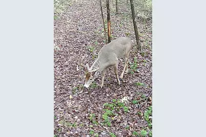 49 Yankeetown Road, Clark Township, OH 45130 - Photo 9