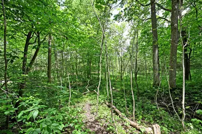 6244 Watt Road, Camden, OH 45311 - Photo 37