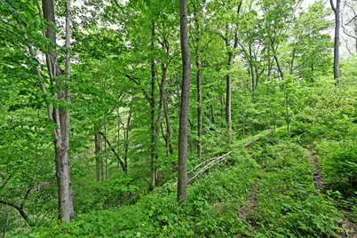 6244 Watt Road, Camden, OH 45311 - Photo 11