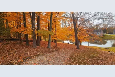 8762 Foxglove Lane, Miami Township, OH 45002 - Photo 51