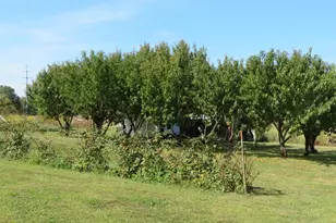 748 Inlow Ave, Peebles, OH 45660 - Photo 37