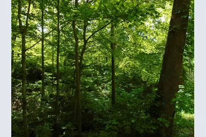 0 Rischforth Road, Jackson Township, OH 45168 - Photo 7