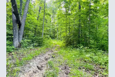 0 Laurel Road, Laurel, IN 47024 - Photo 7