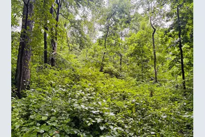 0 Laurel Road, Laurel, IN 47024 - Photo 13