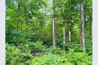 0 Laurel Road, Laurel, IN 47024 - Photo 5