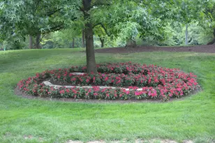 2444 Madison Rd, Cincinnati, OH 45208 - Photo 41