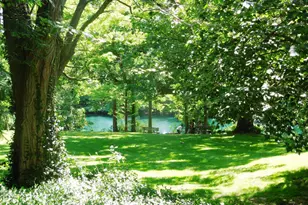 10817 Lakehurst Ct, Sycamore Township, OH 45242 - Photo 19