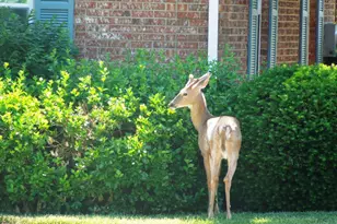 10817 Lakehurst Ct, Sycamore Township, OH 45242 - Photo 19