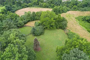 4771 Shepherd Creek Rd, Green Township, OH 45223 - Photo 69