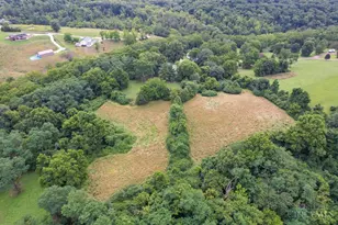 4771 Shepherd Creek Rd, Green Township, OH 45223 - Photo 71