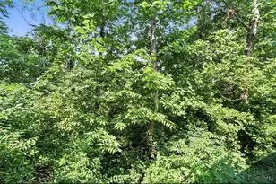 7212 Creekview Dr, Colerain Township, OH 45247 - Photo 45