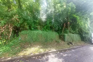 513 Tafel St, Cincinnati, OH 45225 - Photo 1